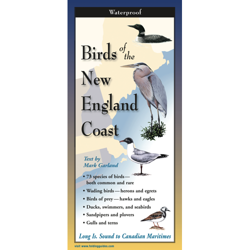 The cover image of Birds of the New England Coast folding guide featuring a selection of illustrations of coastal birds against a map of the New England region.