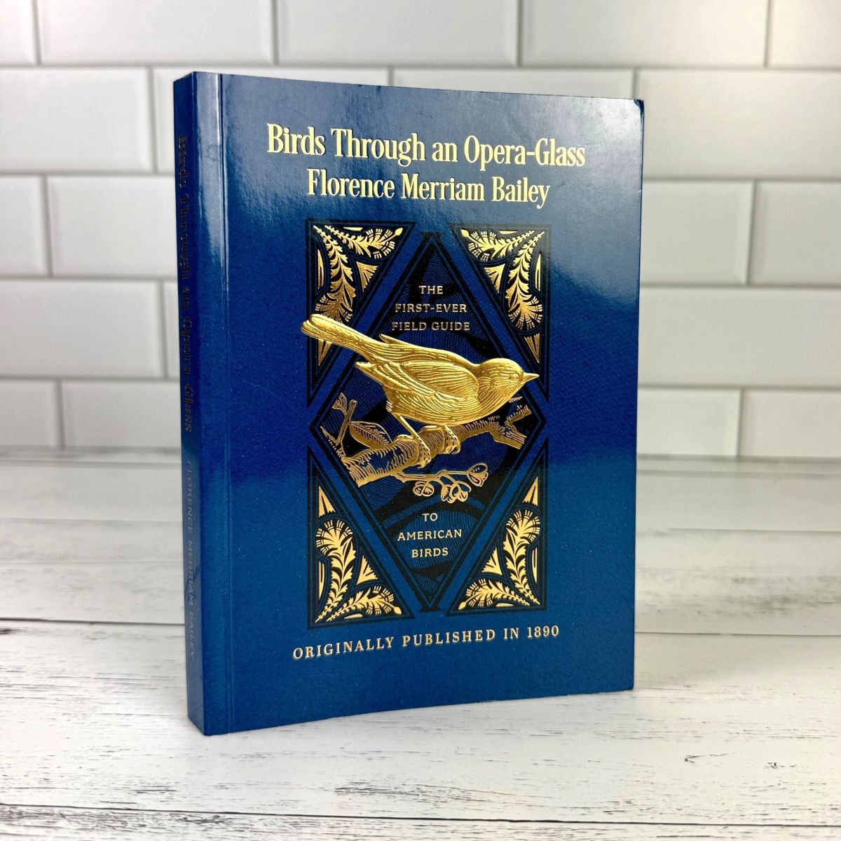 Birds Through an Opera-Glass