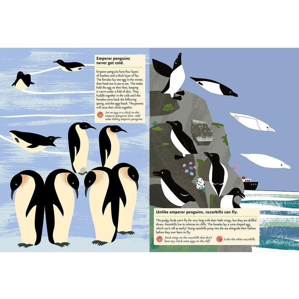 Illustration of penguins on a rocky island with text about emperor penguins and razorbills.