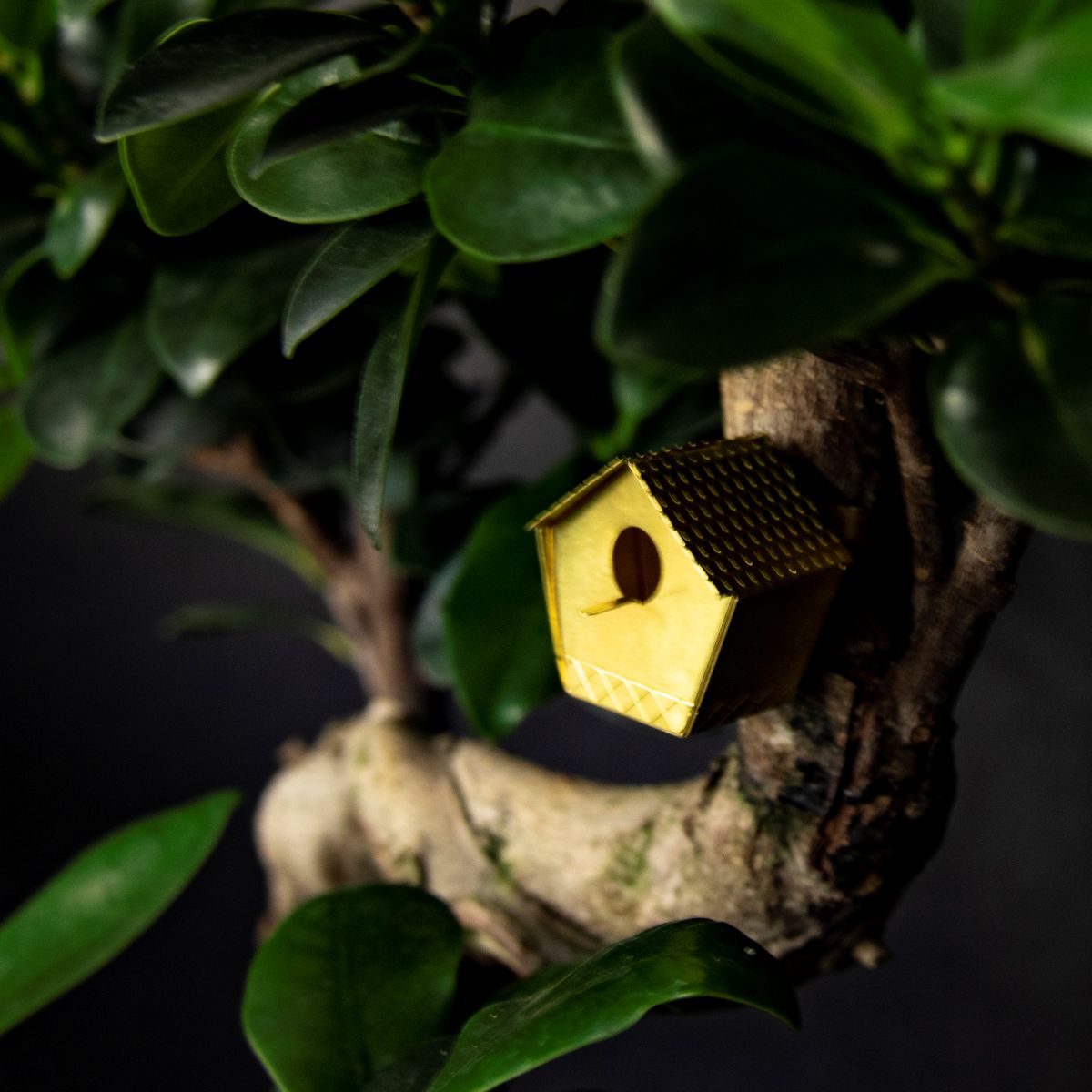 Tiny Birdhouse for Your Plants
