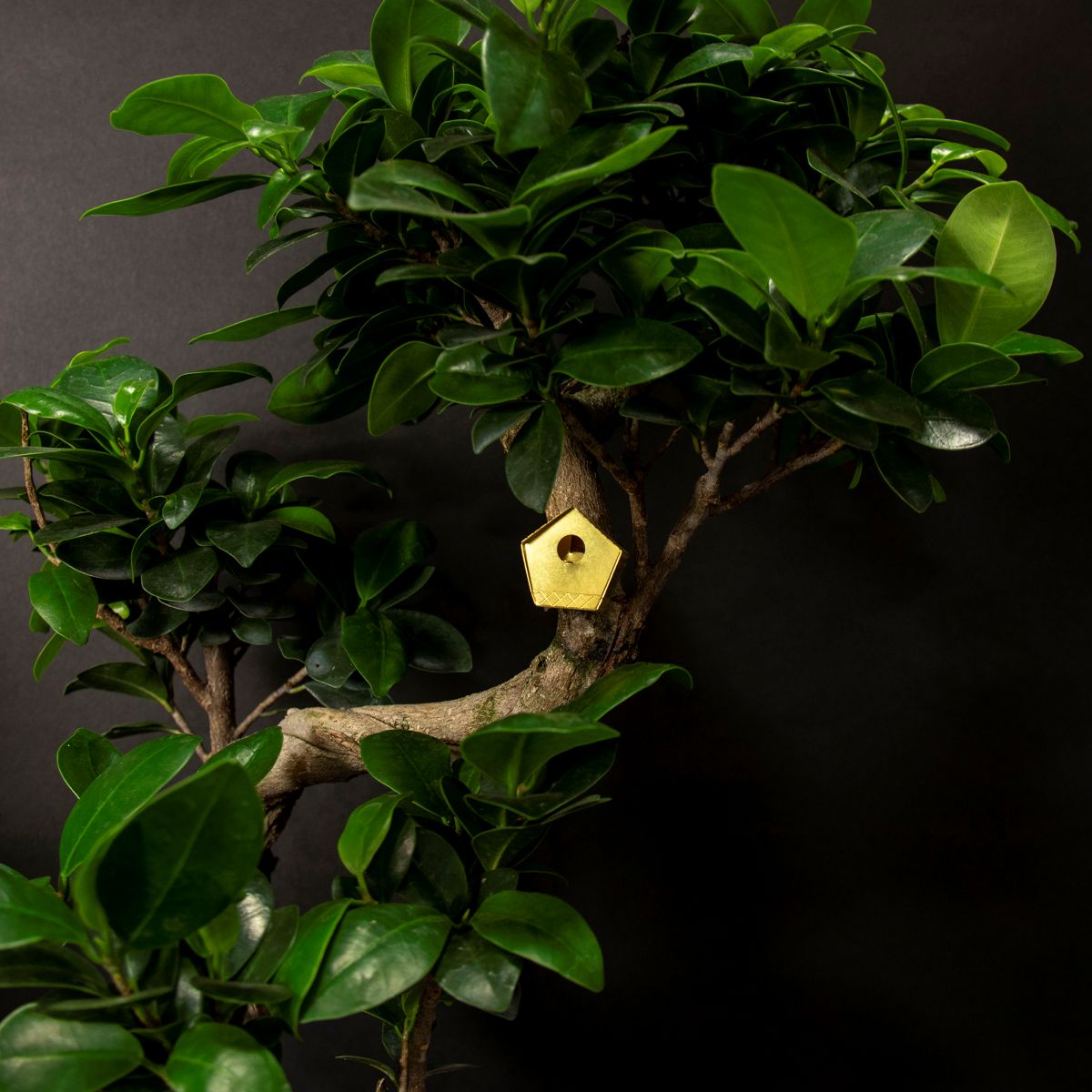 Tiny Birdhouse for Your Plants