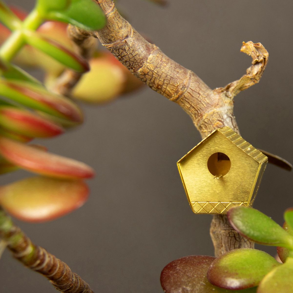 Tiny Birdhouse for Your Plants