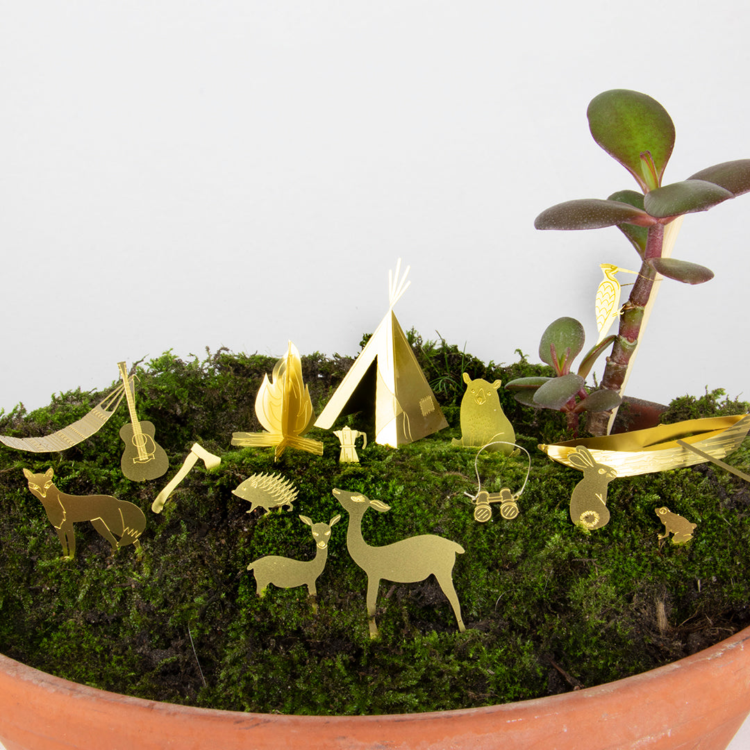 Tiny Camping for Your Plants