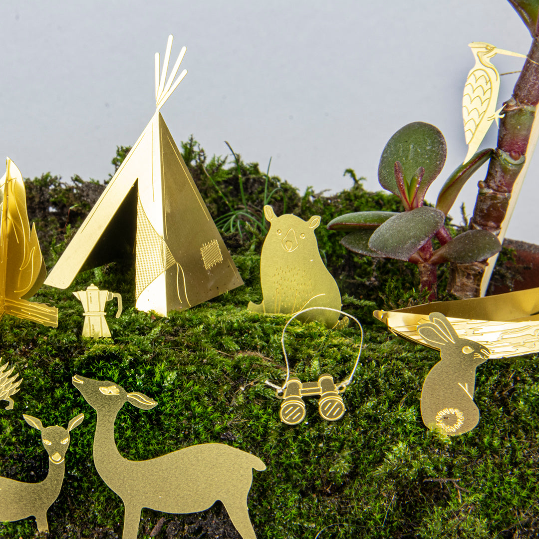 Tiny Camping for Your Plants