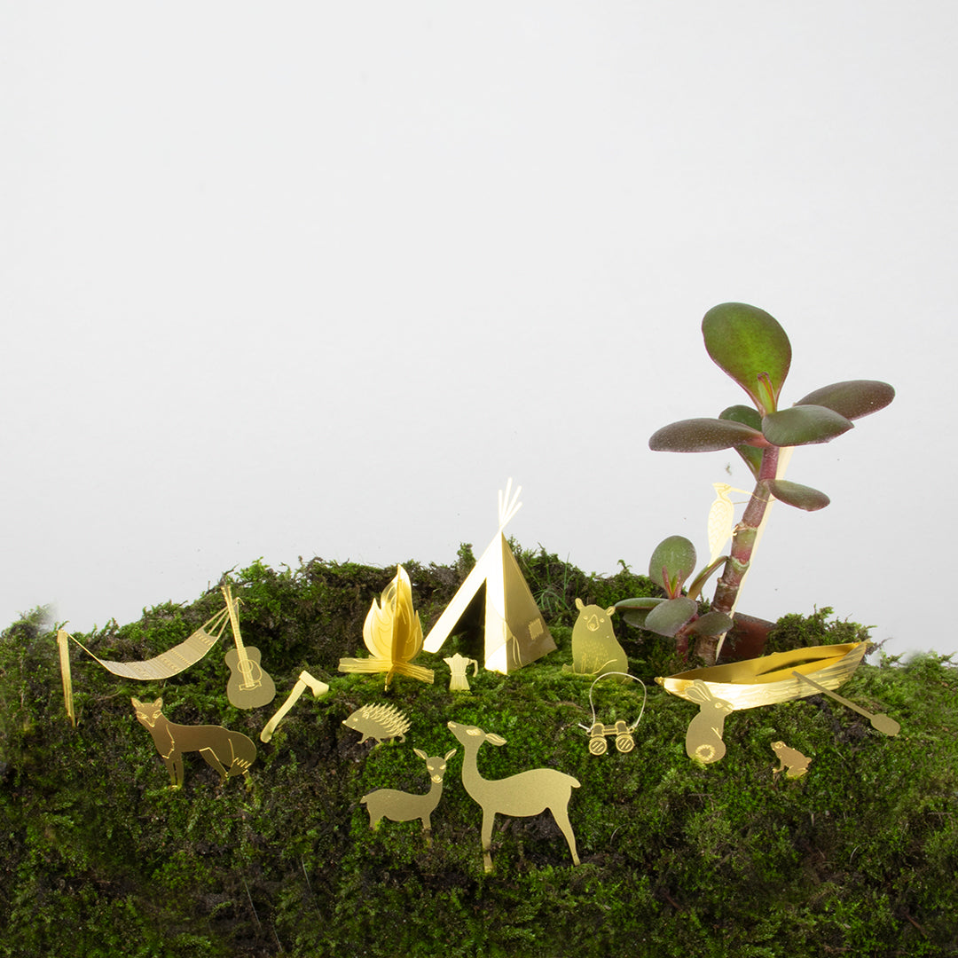 Tiny Camping for Your Plants