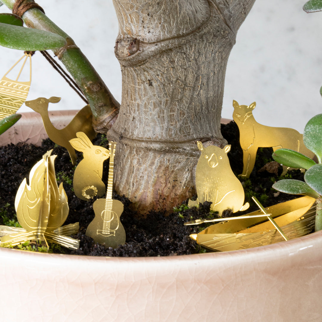 Tiny Camping for Your Plants