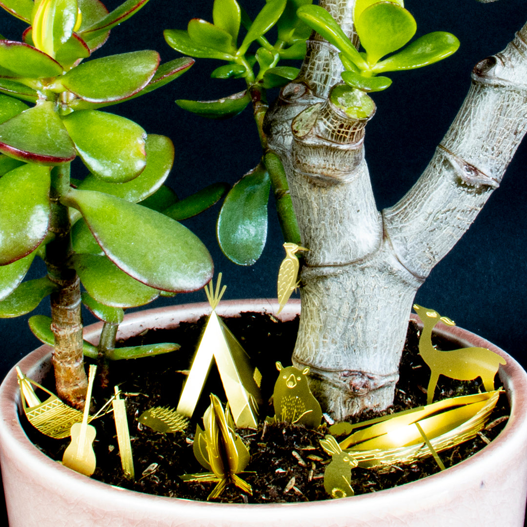 Tiny Camping for Your Plants