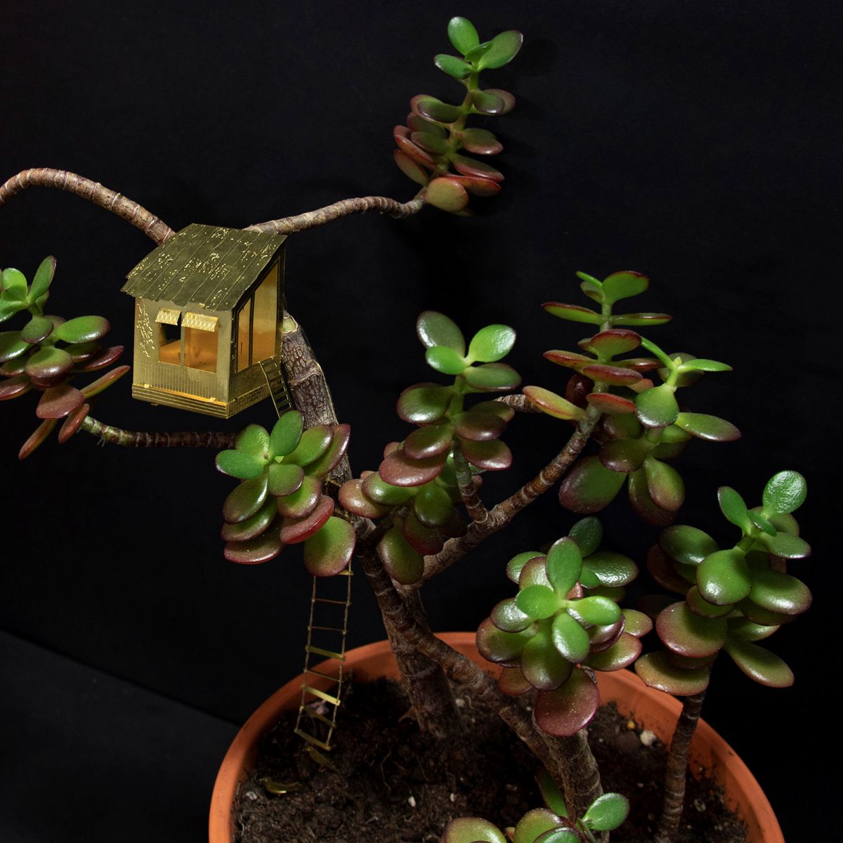 Tiny Treehouse for Your Plants