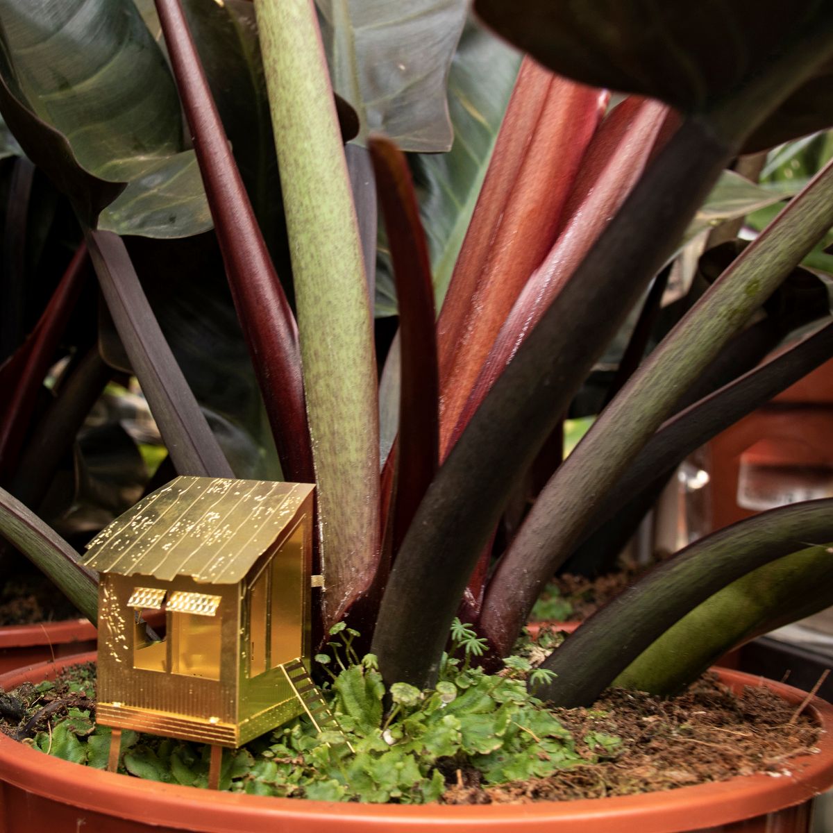 Tiny Treehouse for Your Plants