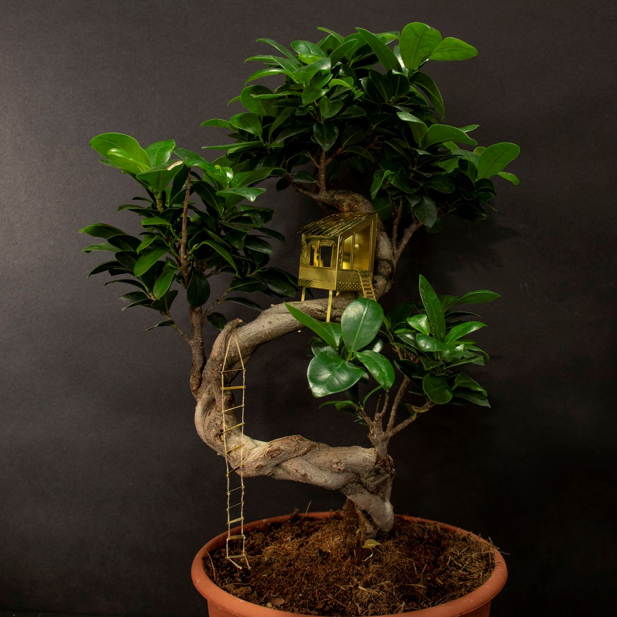 Tiny Treehouse for Your Plants