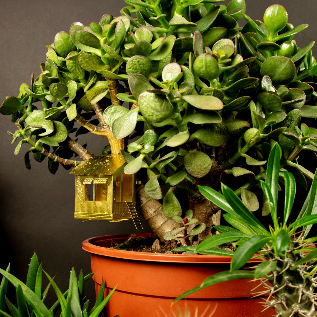 Tiny Treehouse for Your Plants