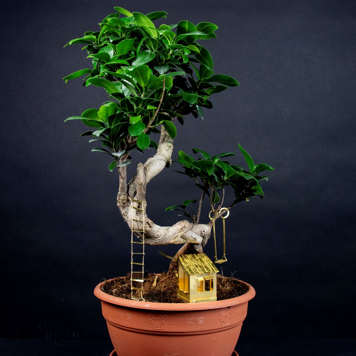 Tiny Treehouse for Your Plants