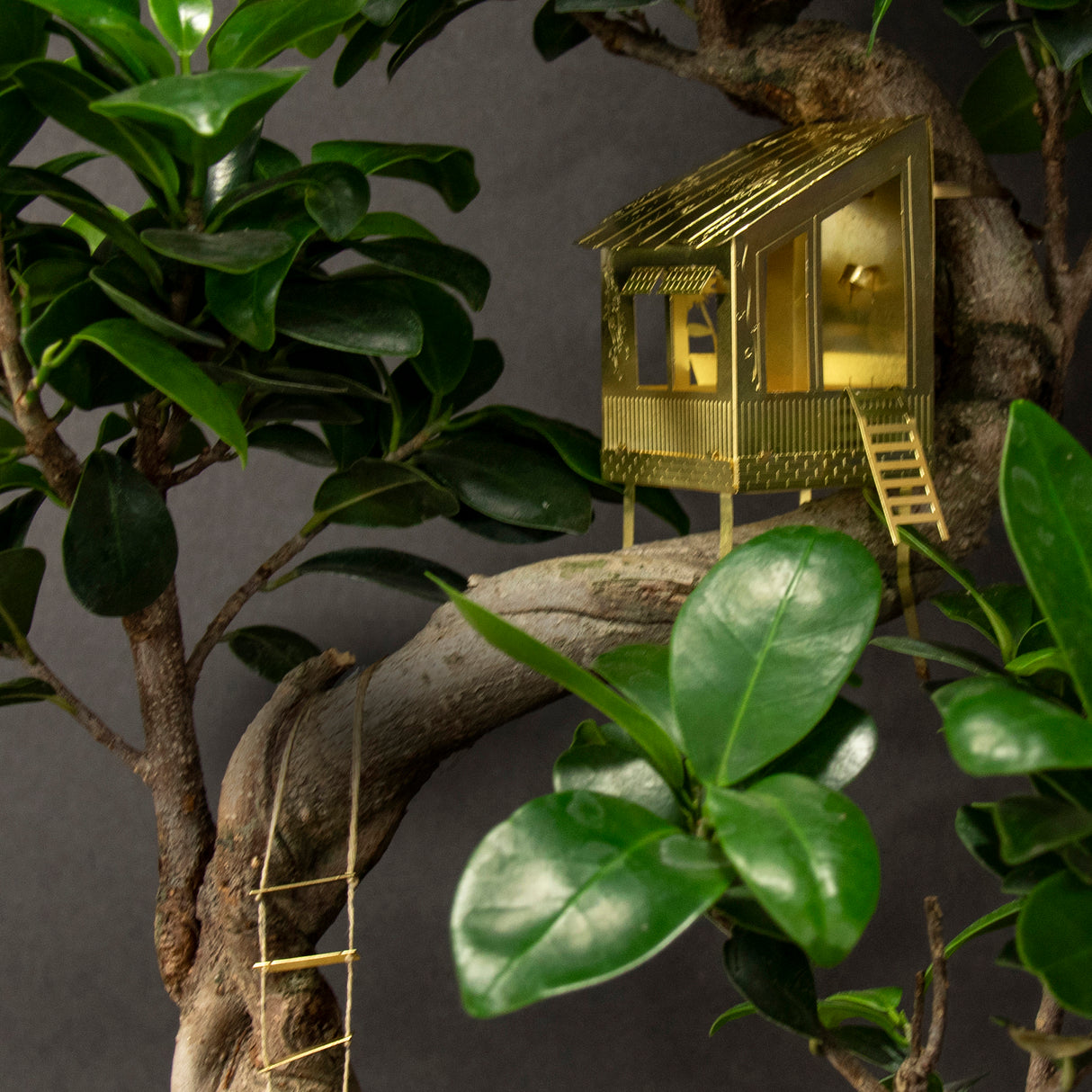 Tiny Treehouse for Your Plants