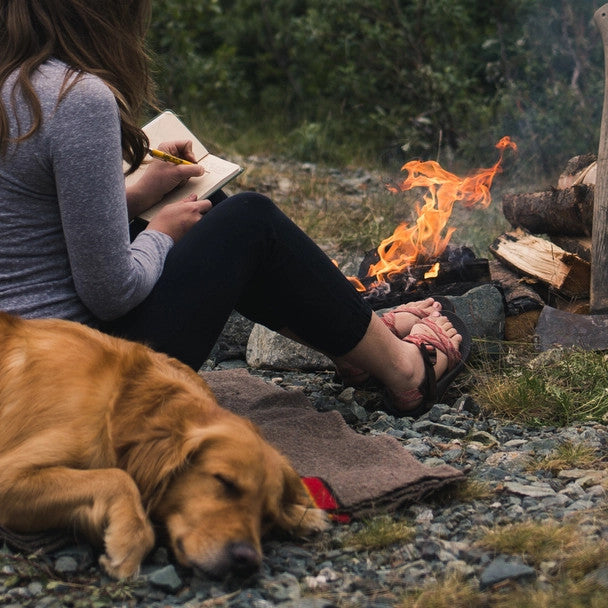 a campsite with a woman sitting by a fire with her dog sleeping beside her white she writes in her journal