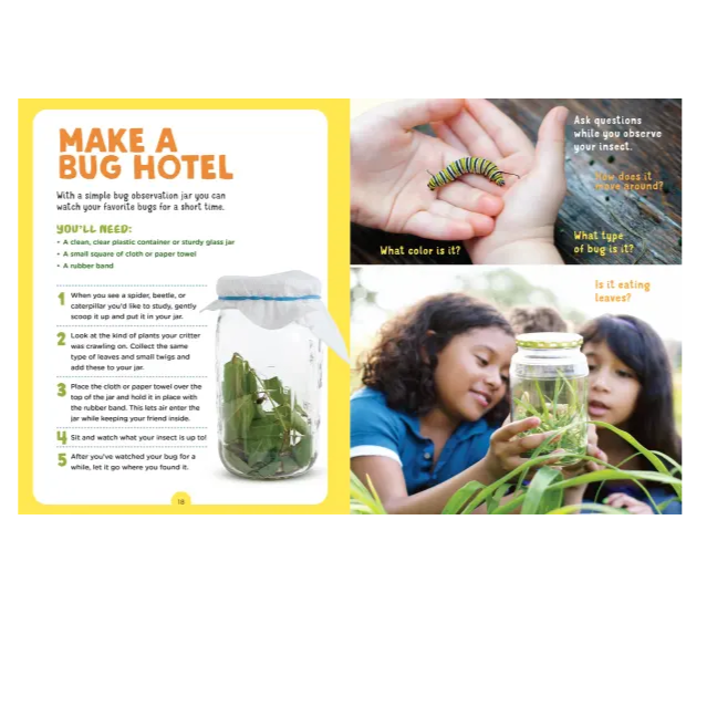 interior page of the bug hunt book about making a bug hotel