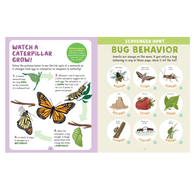 interior page of the bug hunt book about caterpillar growth and bug behavior