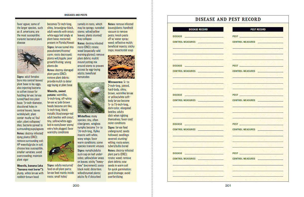 Container Gardener’s Handbook