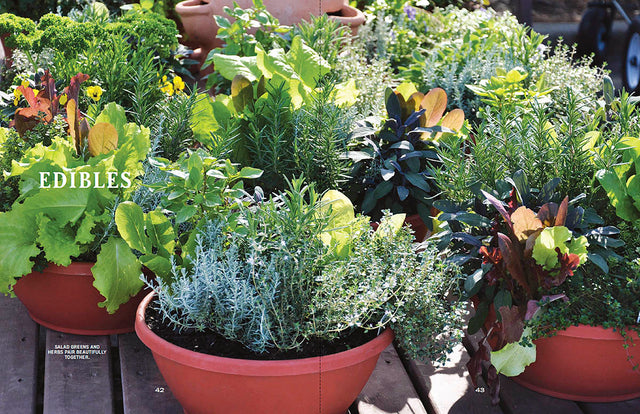 Container Gardener’s Handbook