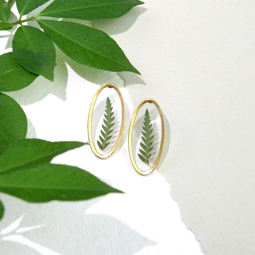 a pair of oval shaped clear resin earrings containing real pressed ferns with a gold outer edge. the earrings lie on a white surface with large green leaves nearby