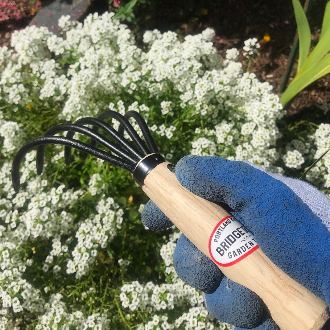 Claw and Rake Cultivator