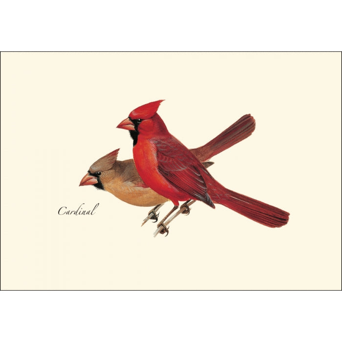 Cardinal Note Card Set