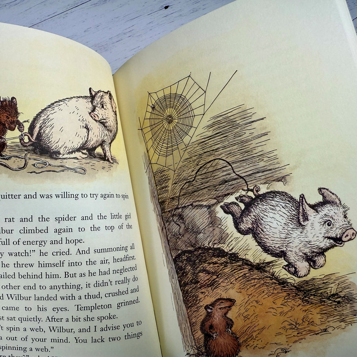 Charlotte's Web
