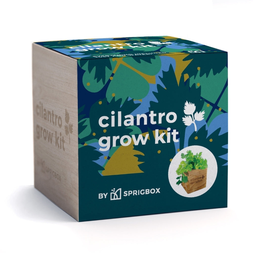 Wooden Planter Grow Kit - Cilantro