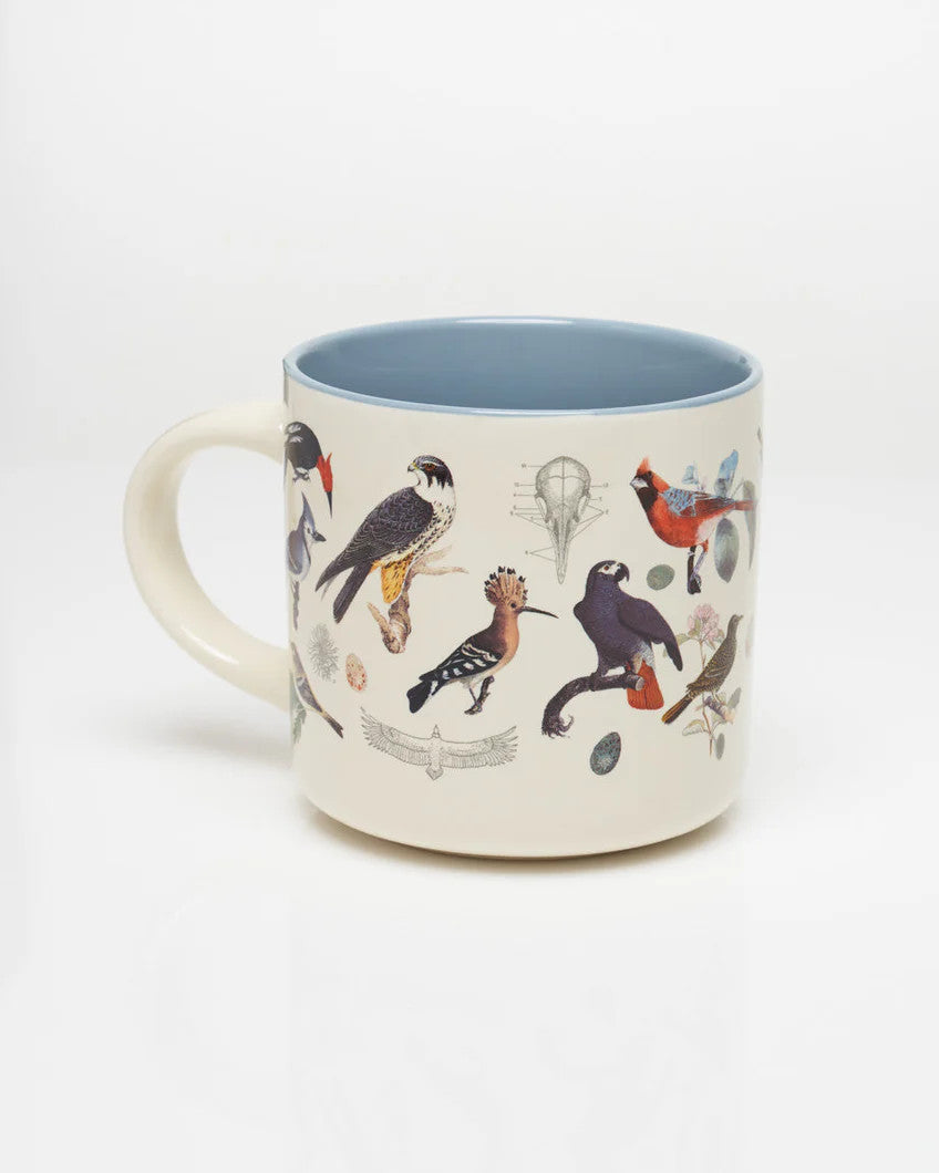 a white coffee mug with vintage illustrations of birds wrapping around it, and a solid sky blue print on the inside of the mug