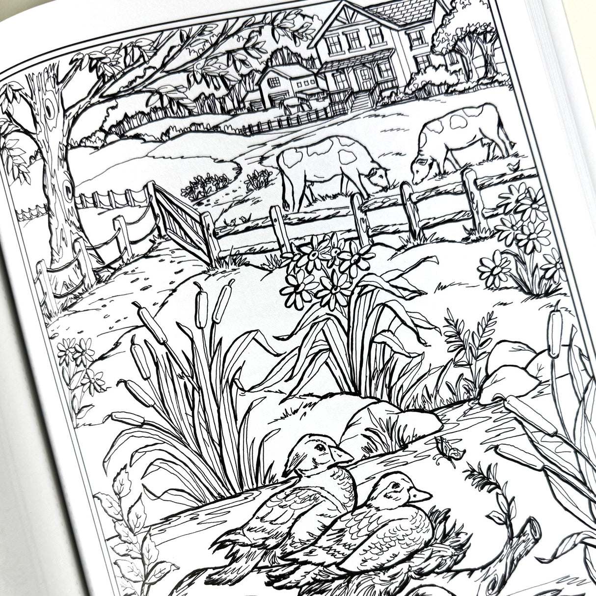 Country Farm Scenes Coloring Book