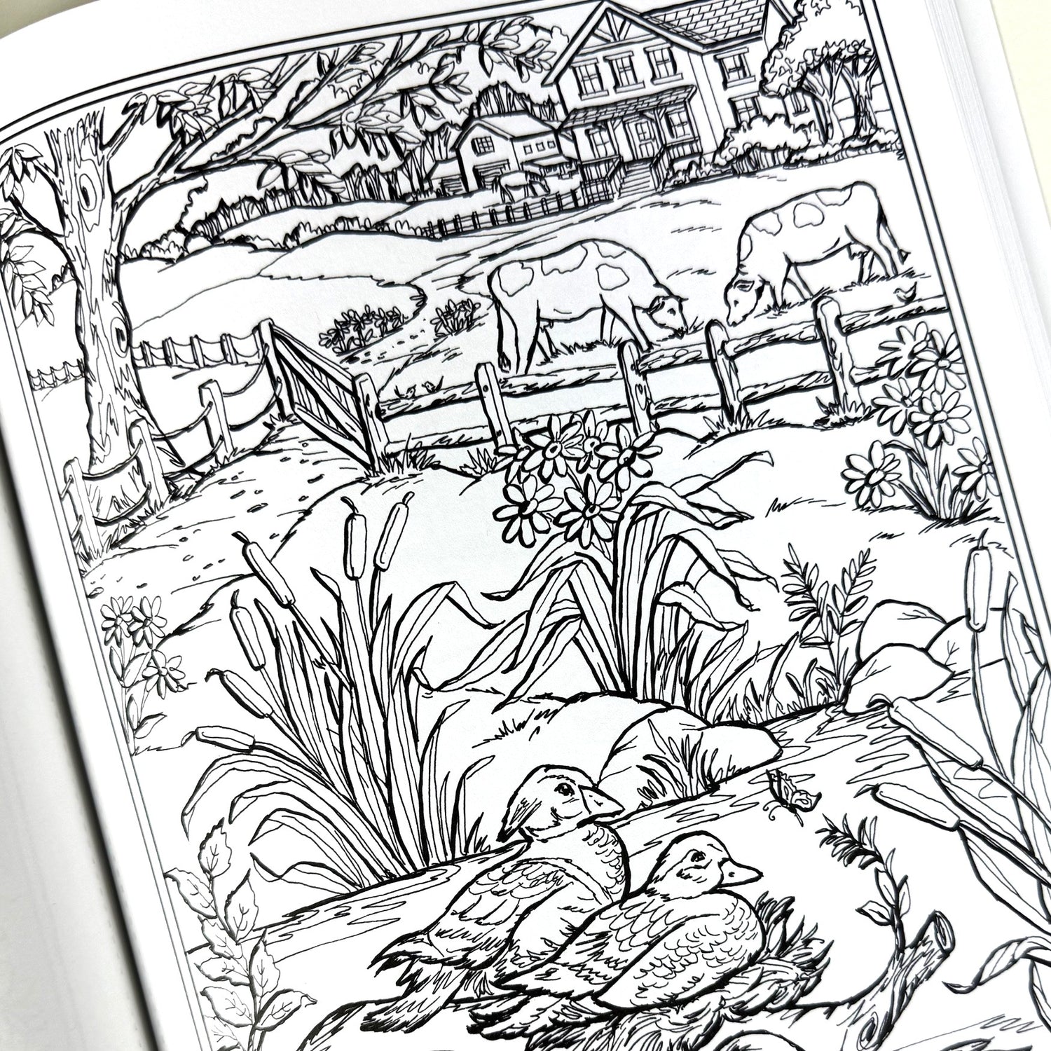 Country Farm Scenes Coloring Book