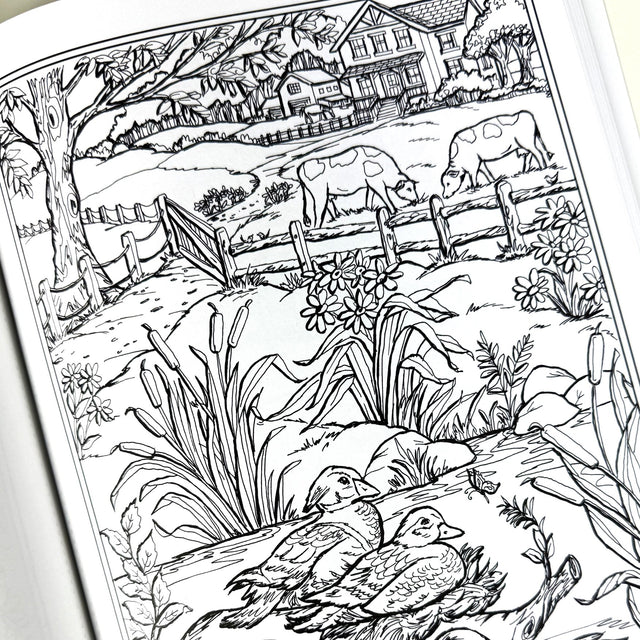 Country Farm Scenes Coloring Book