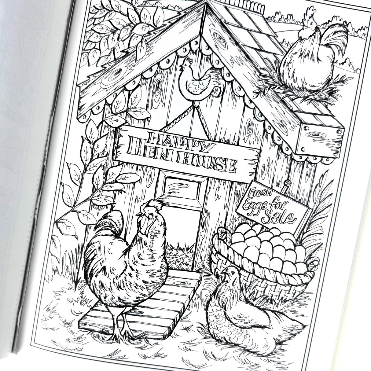 Country Farm Scenes Coloring Book