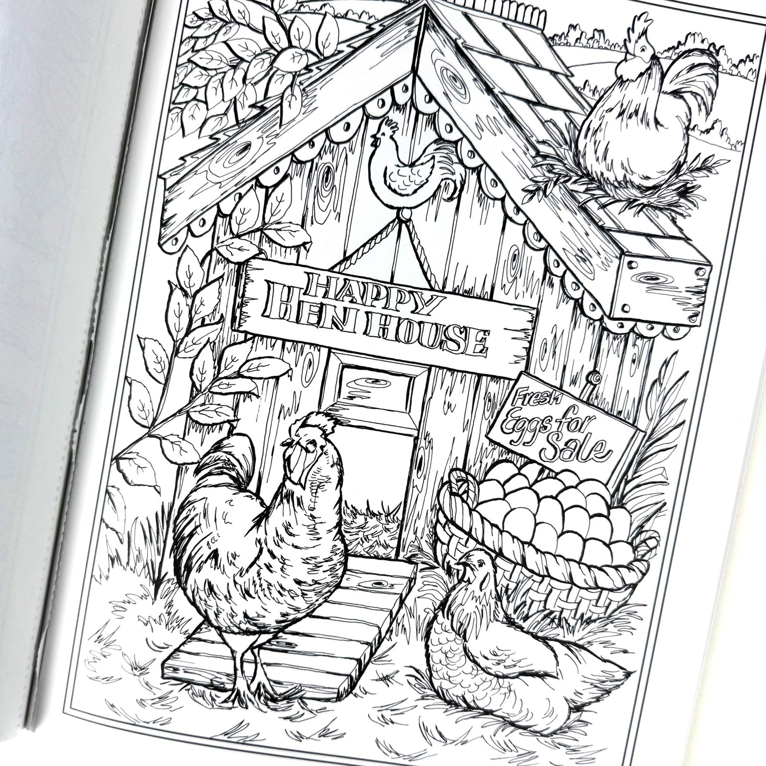 Country Farm Scenes Coloring Book