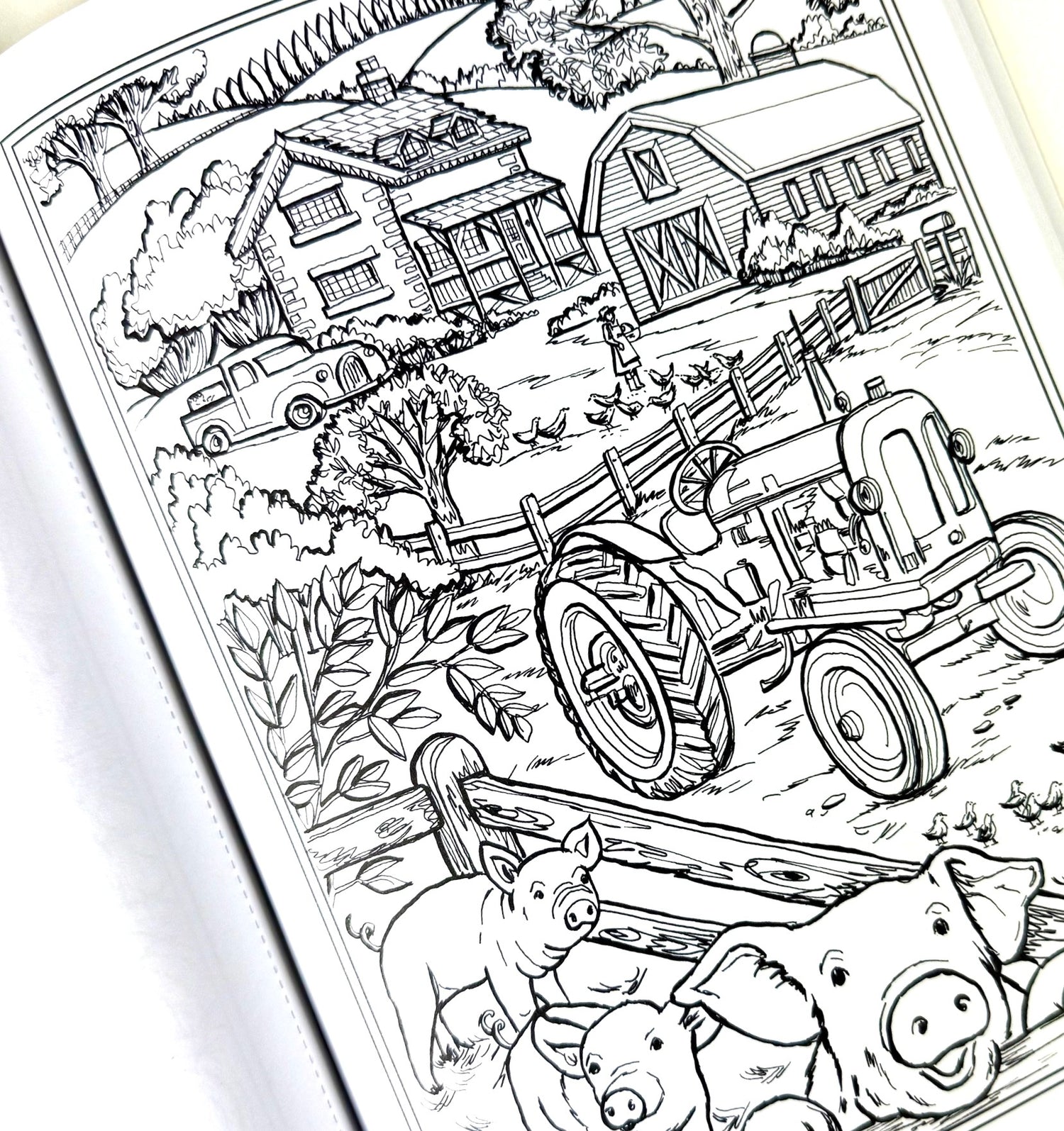Country Farm Scenes Coloring Book