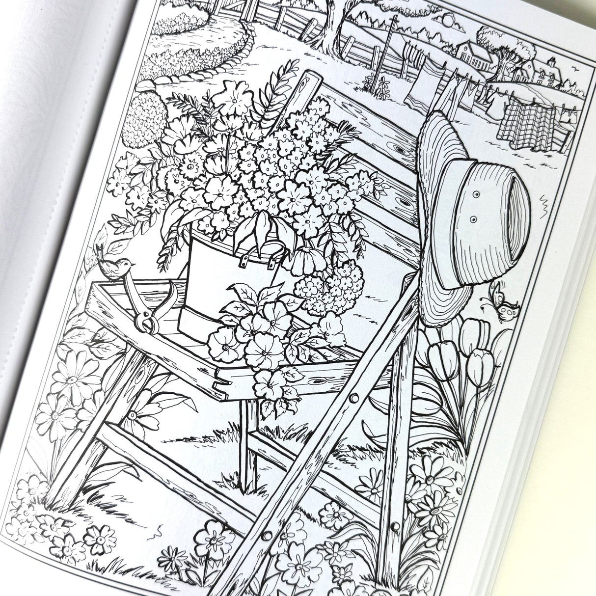 Country Gardens Coloring Book