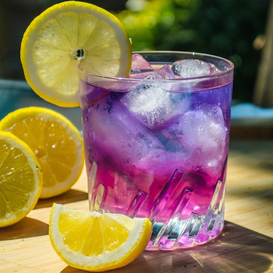 a clear glass filled with iced mariposa tea which is a brilliant violet color, the glass is garnished with and surrounded by lemon slices