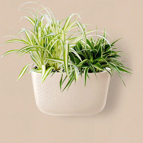 a plastic wall planter in a beige shade called oat with various houseplants planted in it and mounted on a wall that is painted a similar beige as the planter