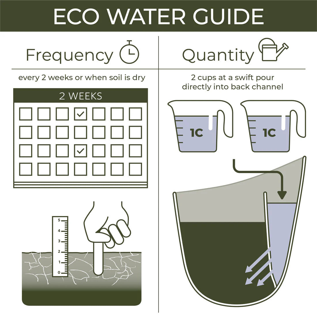 A graphic showing watering frequency - a calendar that marks every two weeks as suggested watering schedule, recommended 2 cups of water filled into the back channel