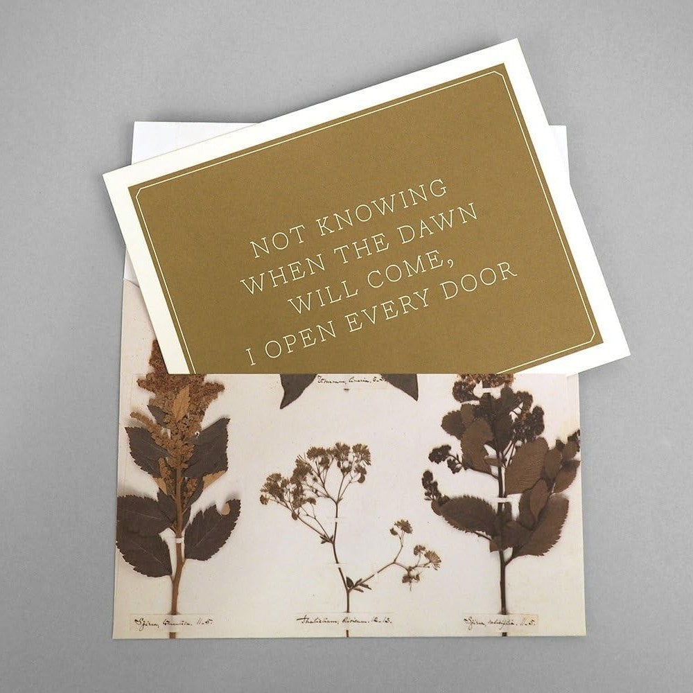 Emily Dickinson Notecards