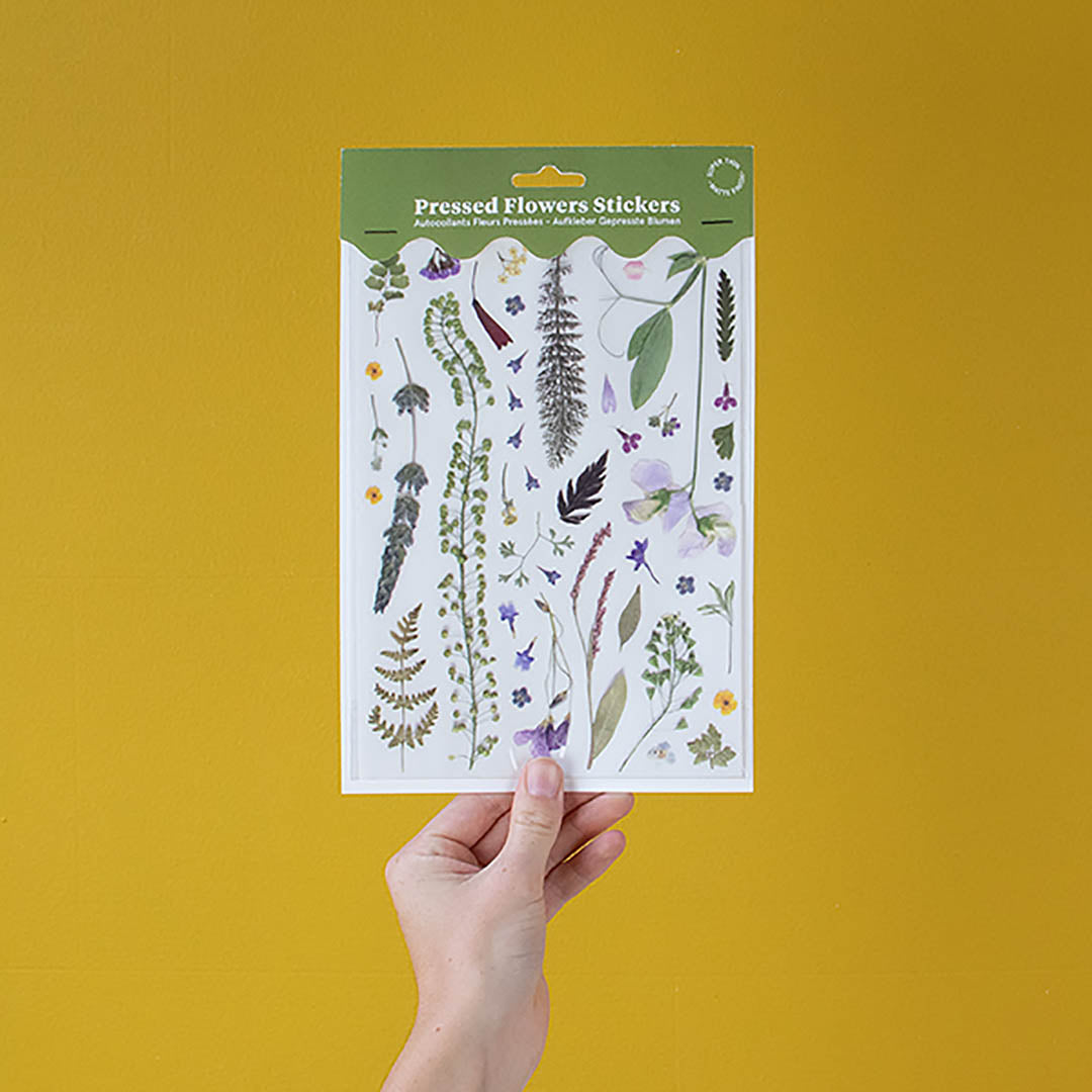 Pressed Flowers Sticker Sheet - Ferns