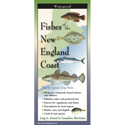 Cover image for Fishes of the New England Coast, featuring illustrations of various species of coastal fish in profile against a map of the Northeast US