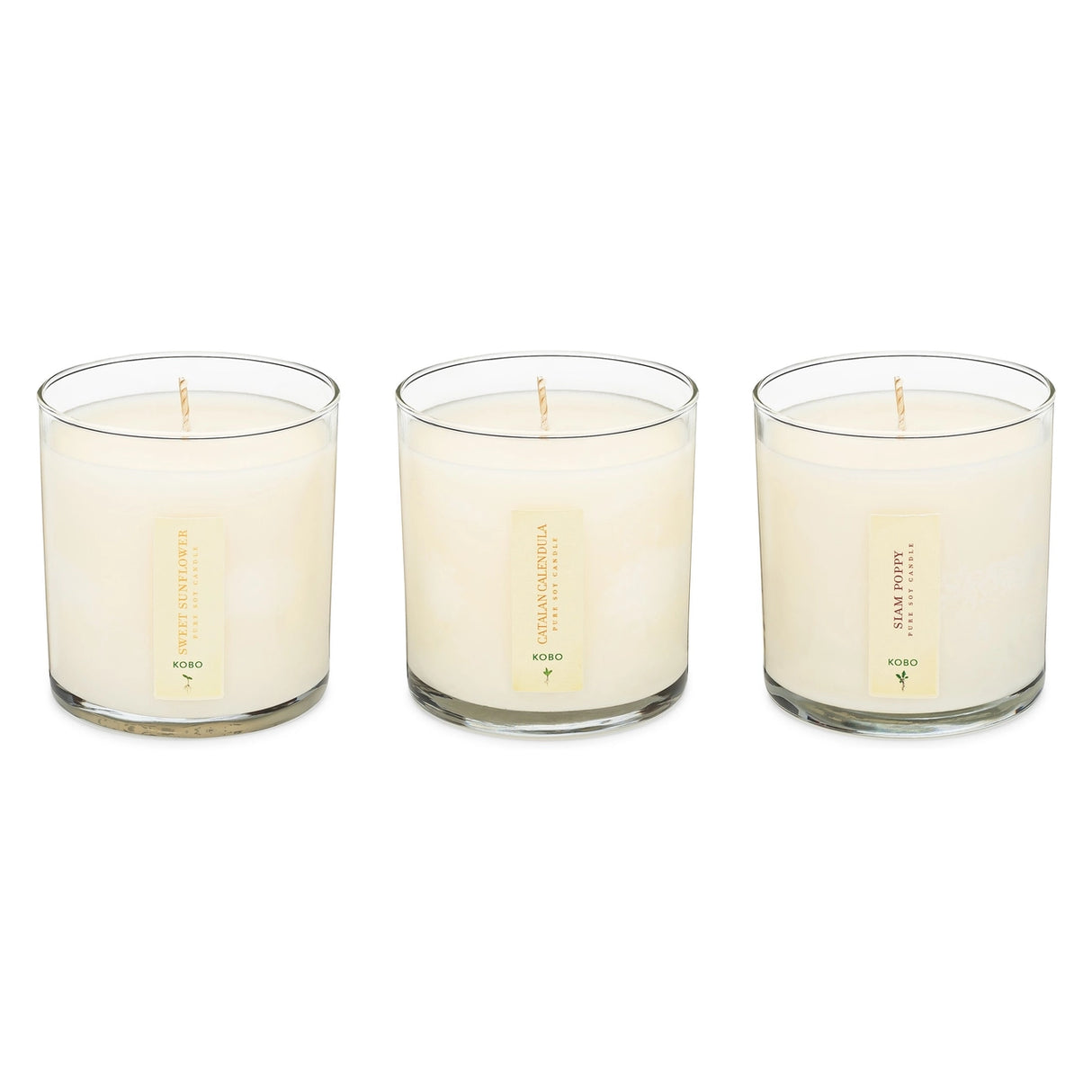 Floral Bouquet - Plant the Box Votive Candle Trio