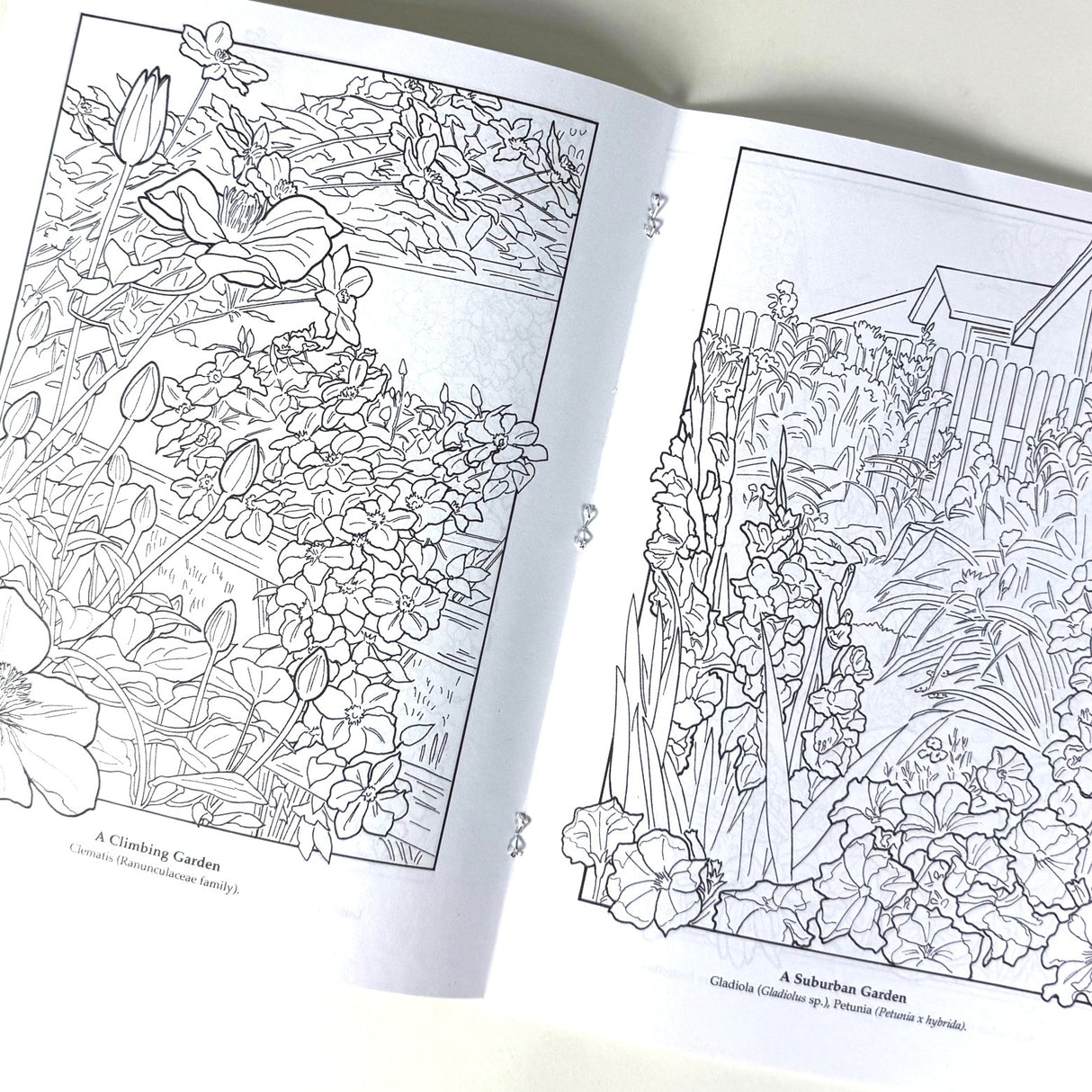The Flower Garden Coloring Book