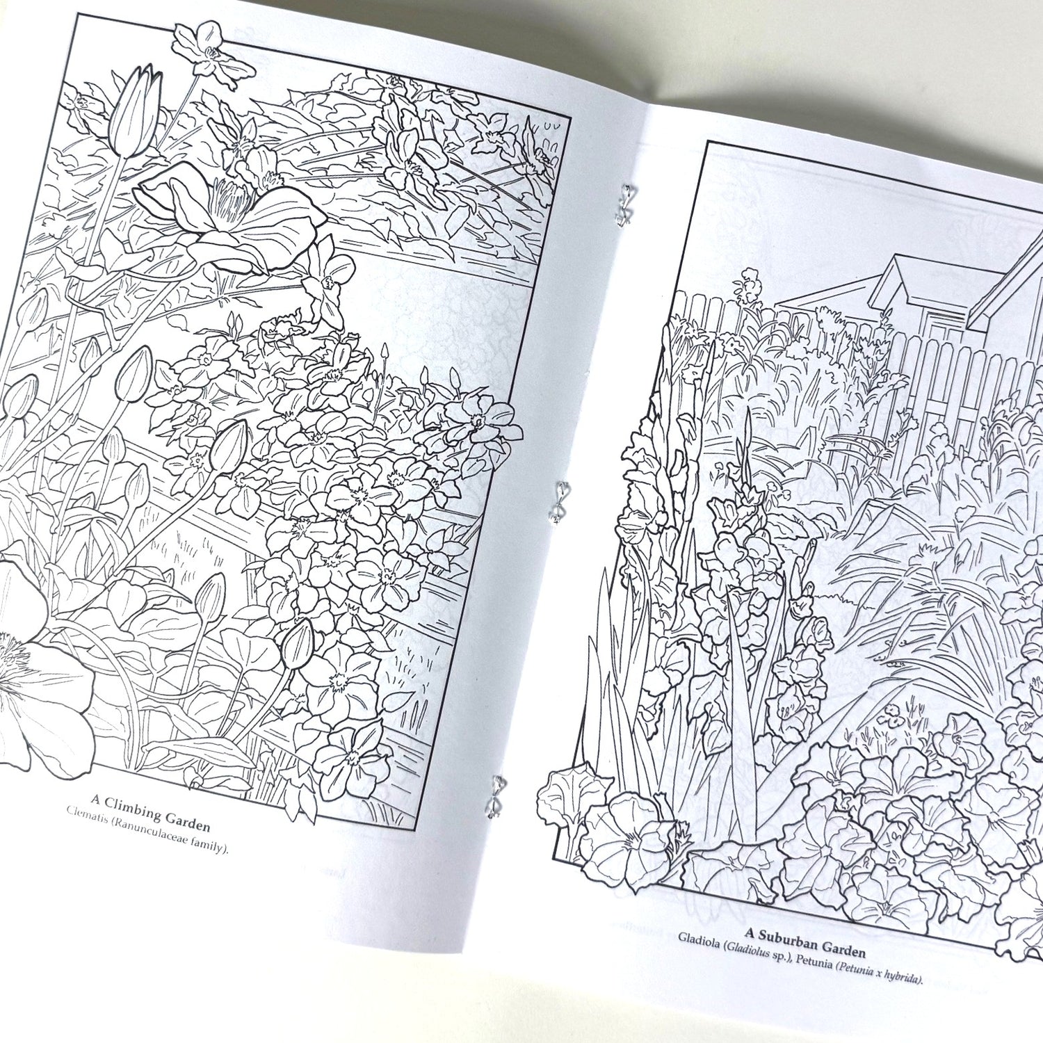 The Flower Garden Coloring Book