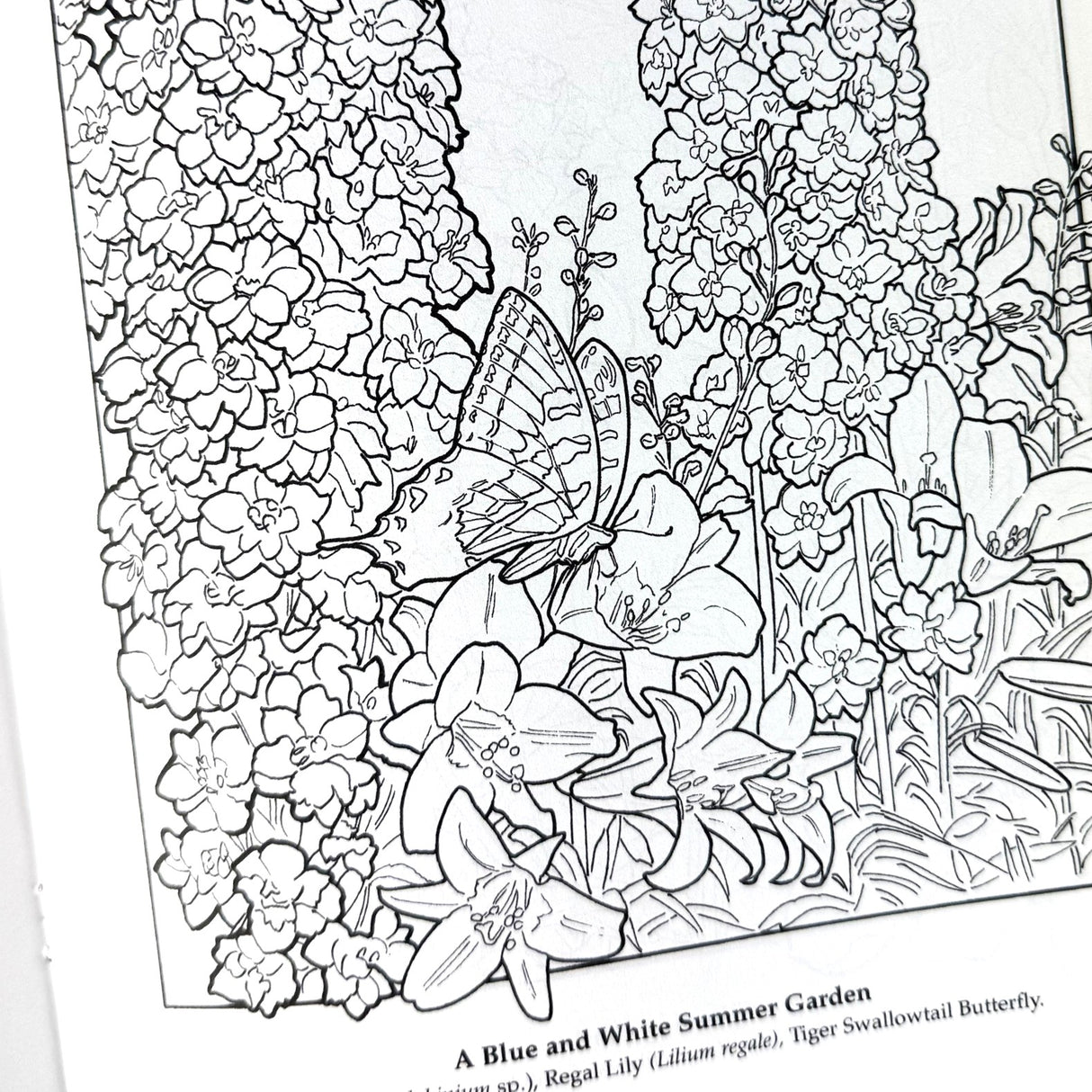 The Flower Garden Coloring Book
