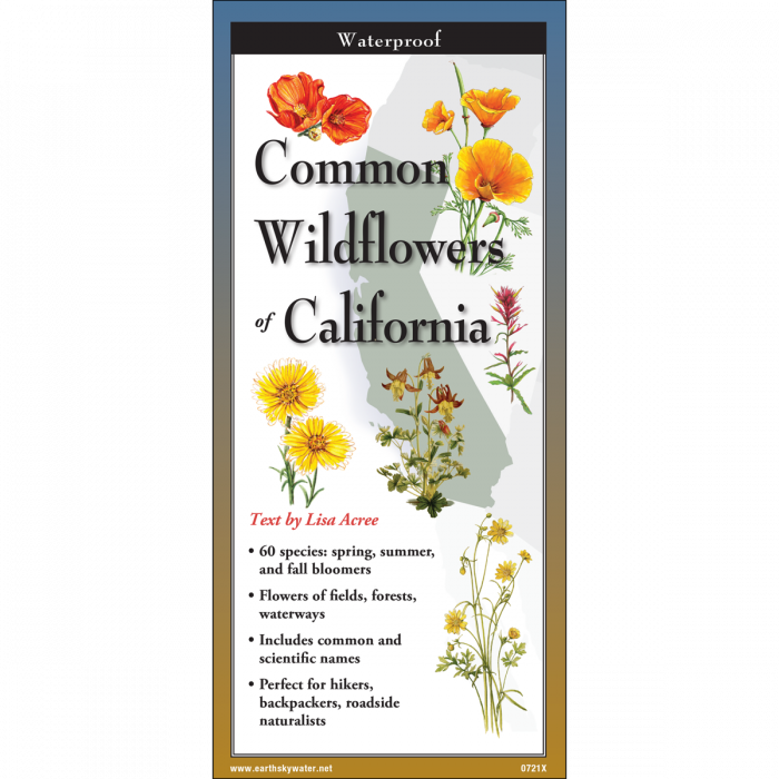 The cover image of Common Wildflowers of California folding guide featuring a selection of illustrations of wildflowers against a map of California.
