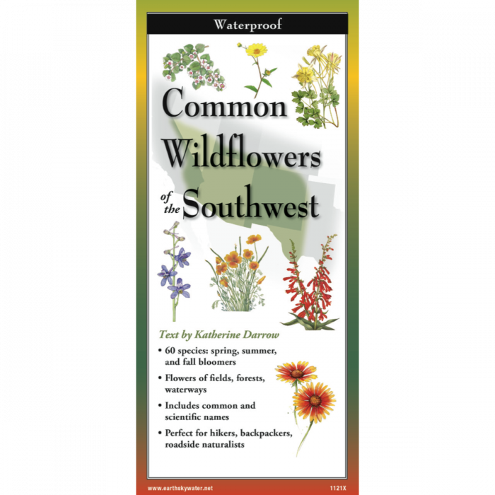 The cover image of Common Wildflowers of the Southwest folding guide featuring a selection of illustrations of wildflowers against a map of the Southeastern US states