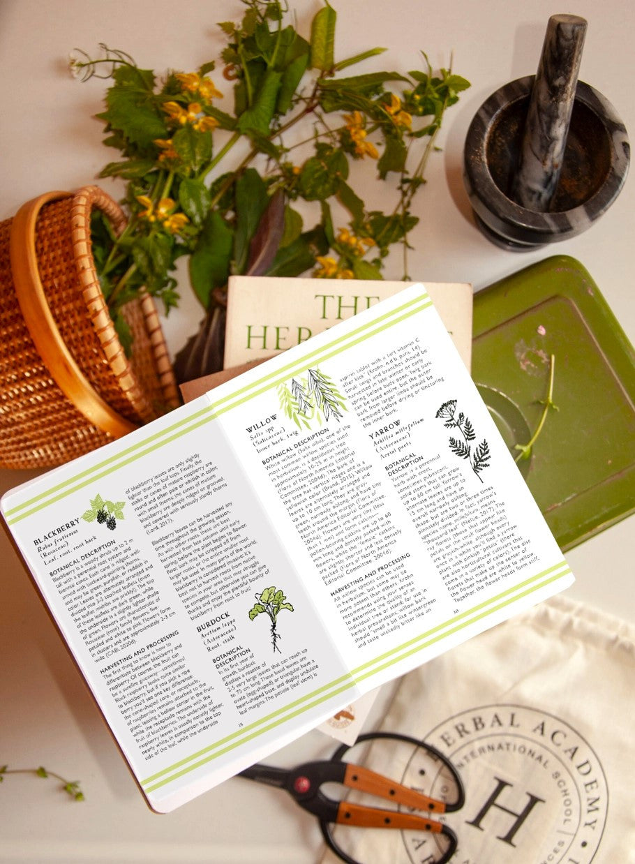 the foraging guidebook open to a page showing a variety of plants to forage