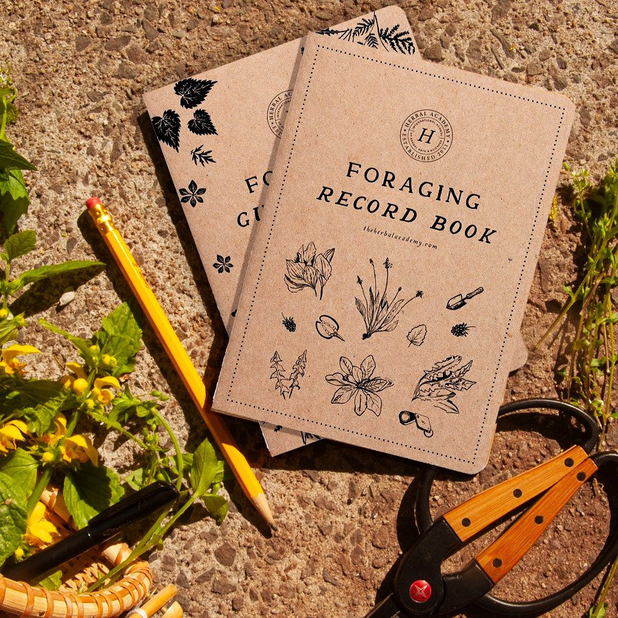 the foraging record book atop the foraging guide on a stone surface with scissors, pencil, and herbs