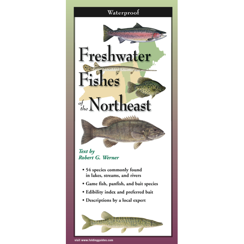 Cover image for Freshwater Fishes of the Northeast, featuring illustrations of various species of fish in profile against a map of the Northeast US